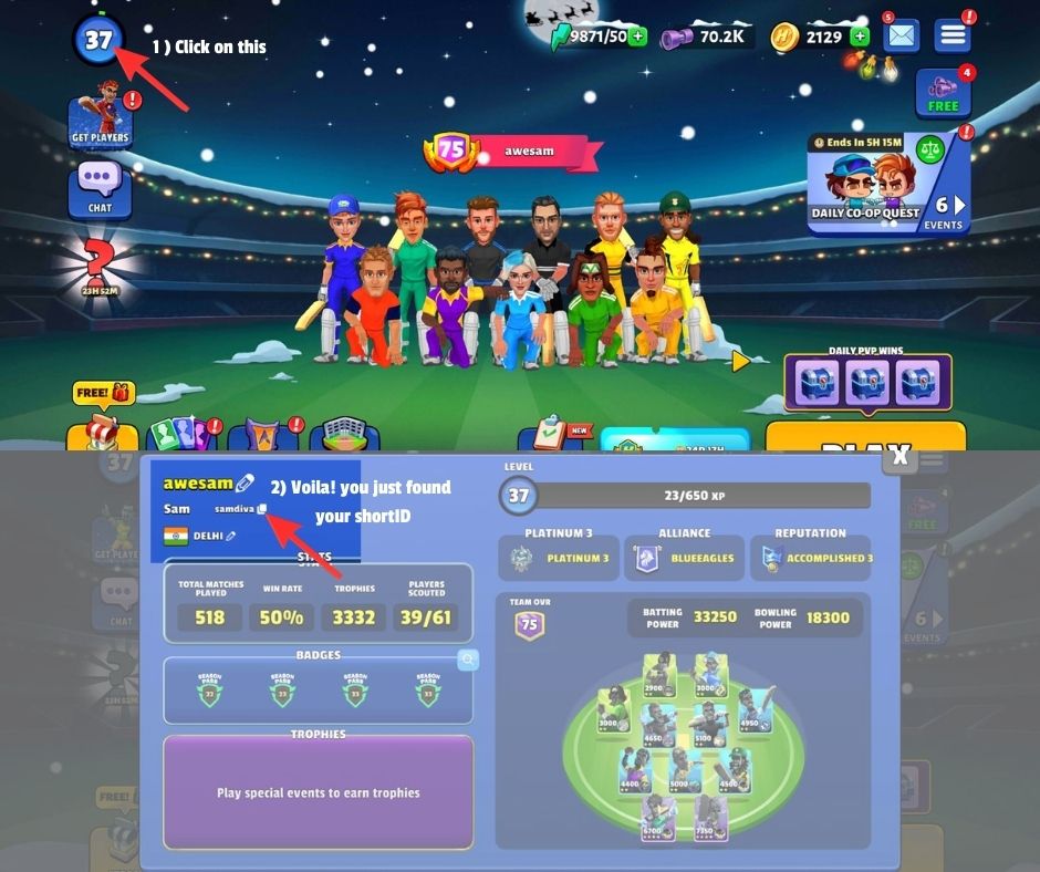 Where to find your Hitwicket Short ID